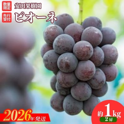 ぶどう　ピオーネ 約1kg【2026年発送 先行受付】No.2610
