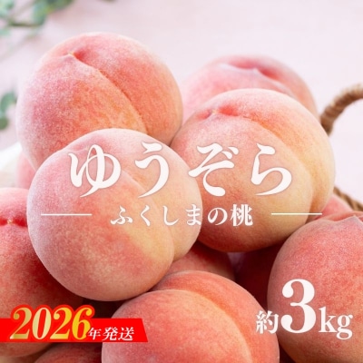 福島のもも　ゆうぞら　約3kg【2026年発送　先行受付】No.2653