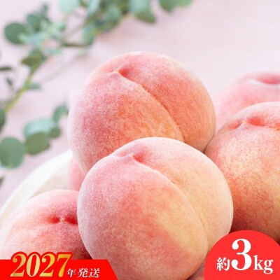 福島のもも　ゆうぞら　約3kg_MJ-1【2027年発送】No.2653