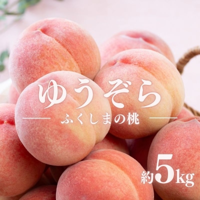 福島のももゆうぞら約5kg【2025年発送】No.2654