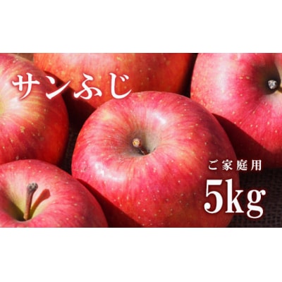 りんご「サンふじ」家庭用 約5kg【2025年度発送】 No.2308