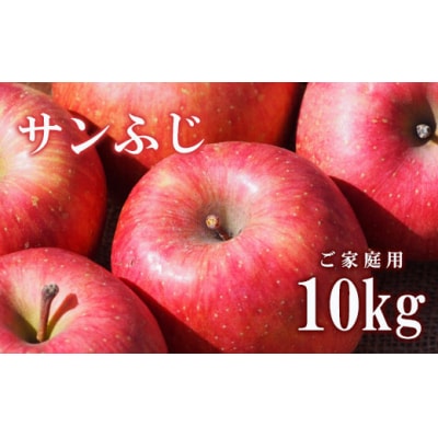 りんご「サンふじ」家庭用 約10kg【2025年度発送】 No.2309