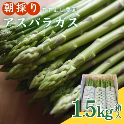 【農家直送】鮮度抜群! アスパラガス 1.5kg箱入【2026年発送】 寄付金額No.1059