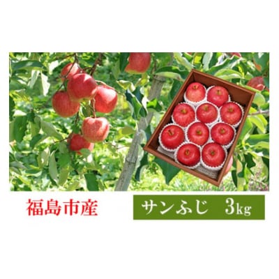 共同有限会社　りんご「サンふじ」約3kg【2025年度発送】 No.2357