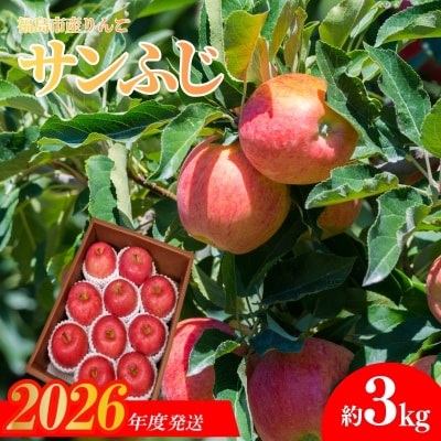  共同有限会社　りんご「サンふじ」約3kg【2026年度発送】No.2357