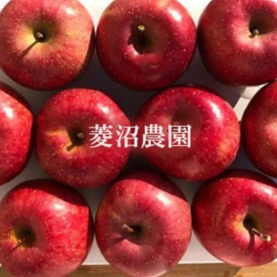 菱沼農園　りんご「サンふじ」約3kg【2025年度発送】 No.2402