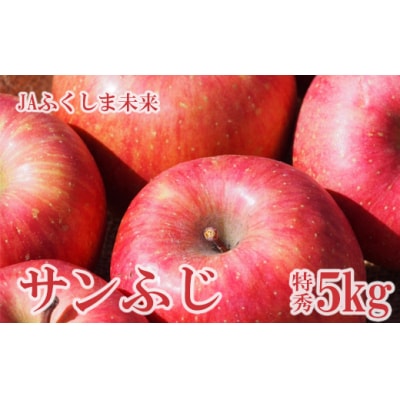 りんご「サンふじ」 約5kg 特秀14~18玉【2025年度発送】 No.2509