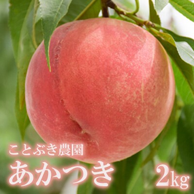 もも「あかつき」約2kg【2025年発送】No.2686