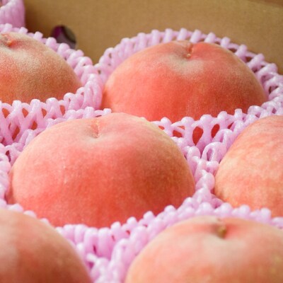 もも「あかつき」約2kg【2026年発送 先行受付】No.2686