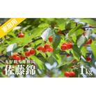 丸好観光果樹園さくらんぼ「佐藤錦」家庭用1kg【2023年発送】No.2713