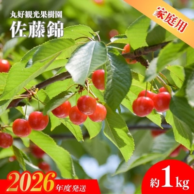  さくらんぼ「佐藤錦」家庭用約1kg【2026年発送】No.2713