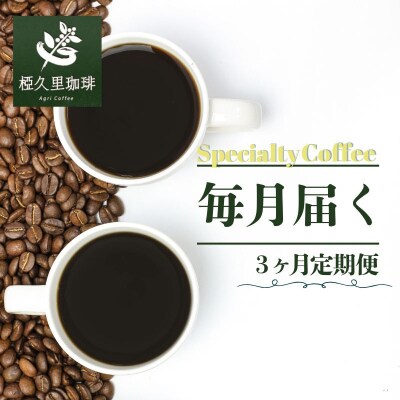 椏久里珈琲スペシャルティコーヒー3ヶ月定期便No.2702