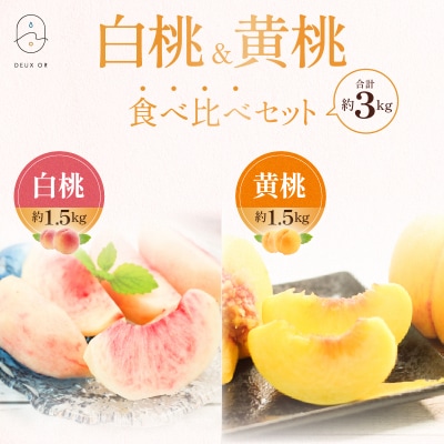 白桃&黄桃食べ比べセット　約3kg【2025年発送】No.2672