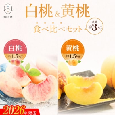 白桃&黄桃食べ比べセット　約3kg【2026年発送 先行受付】No.2672