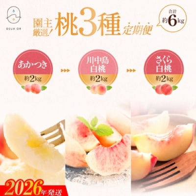 園主厳選!もも3種定期便 各約2kg【2026年発送 先行受付】No.2674