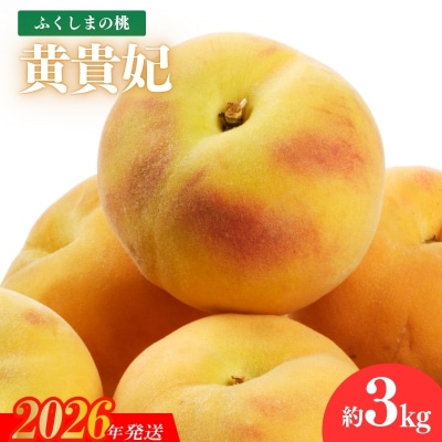 福島のもも 黄貴妃　約3kg【2026年発送　先行受付】No.2688