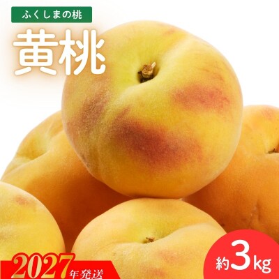 福島のもも (黄貴妃・黄金桃のいずれか)約3kg【2027年発送】No.2688