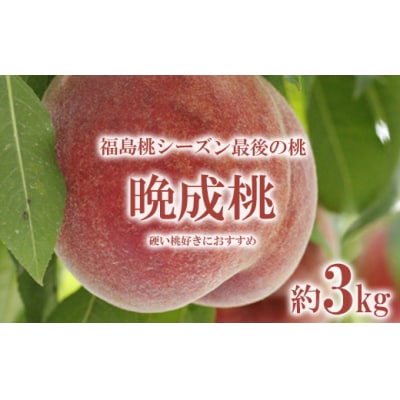 福島桃シーズン最後の桃　晩成桃　約3kg【2025年発送分】No.2689