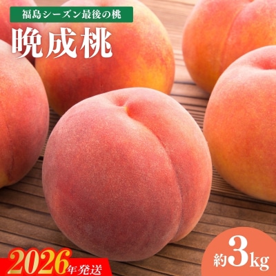 福島シーズン最後の桃『晩成桃』約3kg【2026年発送　先行受付】No.2689