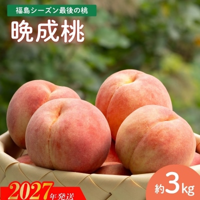 福島 シーズン最後の桃『晩成桃』約3kg【2027年発送　先行受付】No.2689