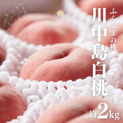 福島市産　川中島白桃　約2kg【2025年発送】No.2723