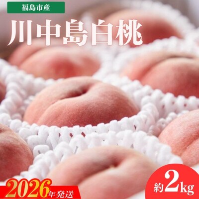 福島市産　川中島白桃　約2kg【2026年発送 先行受付】No.2723