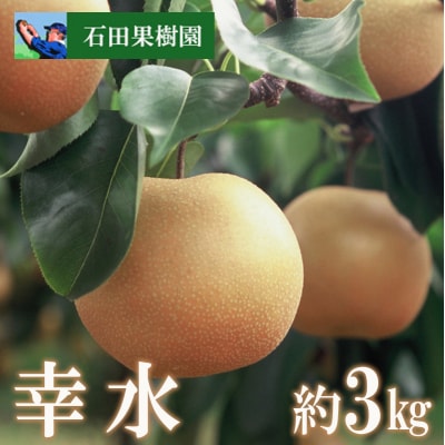 梨　幸水　3kg【2025年発送】No.2736