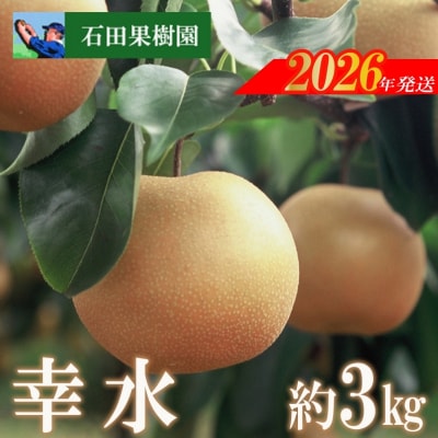 梨　幸水　3kg【2026年発送　先行受付】No.2736