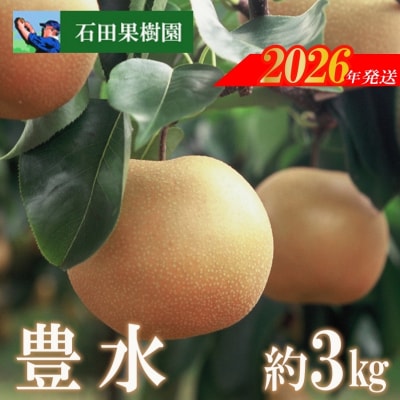 梨　豊水　3kg【2026年発送　先行受付】No.2737