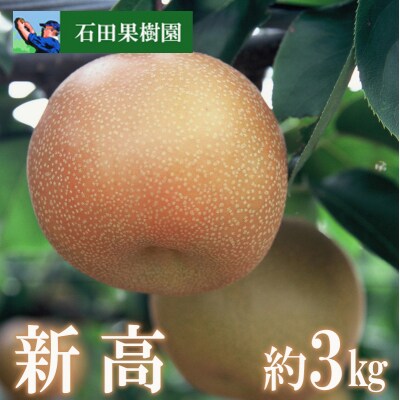 石田果樹園　梨　新高　3kg【2023年発送】No.2738