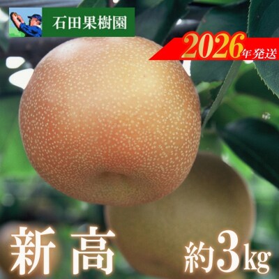梨　新高　3kg【2026年発送　先行受付】No.2738