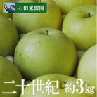 梨　二十世紀　3kg【2025年発送】No.2739