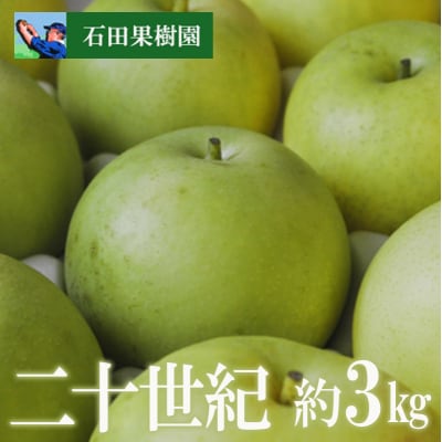 梨　二十世紀　3kg【2025年発送】No.2739