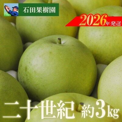 梨　二十世紀　3kg【2026年発送　先行受付】No.2739
