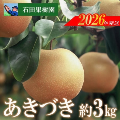 梨　あきづき　3kg【2026年発送　先行受付】No.2740