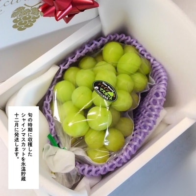 ぶどう「シャインマスカット」1房 化粧箱入【2026年12月発送】No.2741