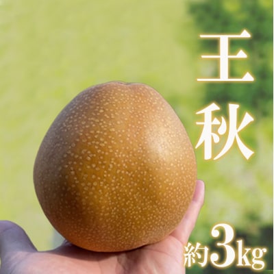 旬の特選梨 王秋 約3kg【2025年発送】No.2735