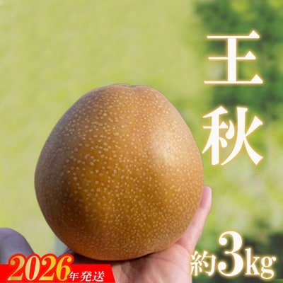 旬の特選梨 王秋 約3kg【2026年発送　先行受付】No.2735