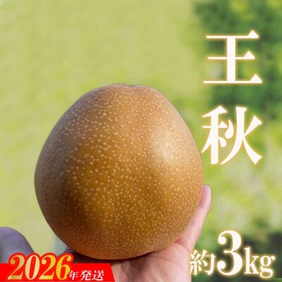 旬の特選梨 王秋 約3kg【2026年発送　先行受付】No.2735