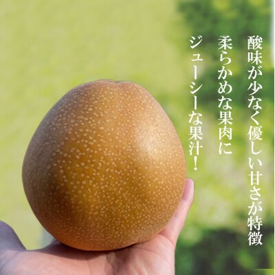 旬の特選梨 王秋 約3kg【2025年発送】No.2735