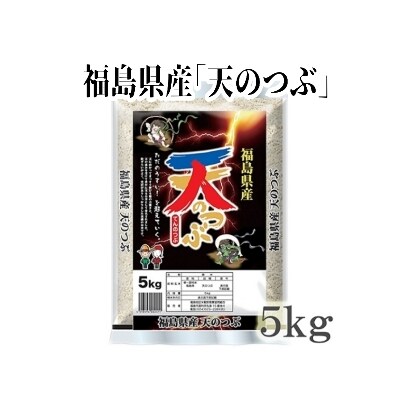 福島県産米「天のつぶ」精米 5kg  1袋No.2749