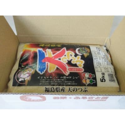 【令和6年産】福島県産米「天のつぶ」精米 5kg  1袋　No.2749