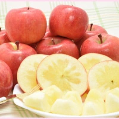 まぼろしのりんご「高徳(こうとく)」ご家庭用 約1.7kg【2025年度発送】 No.0073