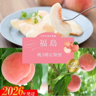 中野/佐藤果樹園 福島の桃3種定期便 各約2kg【2026年発送 先行受付】No.2791