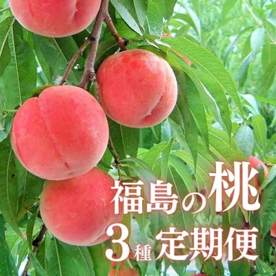 福島の桃3種定期便 各2kg【2025年発送】No.2791