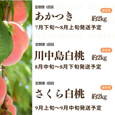 中野/佐藤果樹園 福島の桃3種定期便 各約2kg【2026年発送 先行受付】No.2791