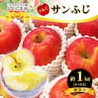 ふくしまのサンふじりんご　約1kg 【2025年度発送】 No.2770