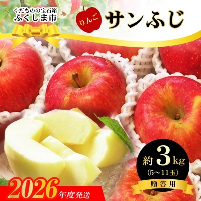  ふくしまのサンふじりんご　約3kg【2026年度発送】No.2771