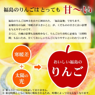 ふくしまのサンふじりんご　約3kg【2025年度発送】 No.2771
