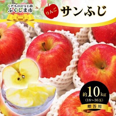 ふくしまのサンふじりんご　約10kg【2025年度発送】 No.2772